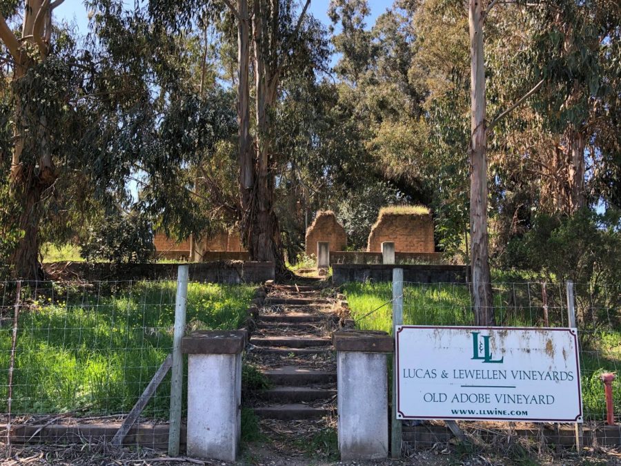 Mysterious Adobe Vineyard Ruins in Sisquoc