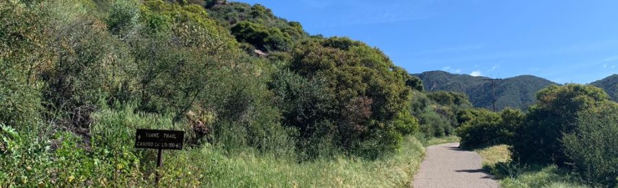 Hiking trails to visit in Santa Barbara County
