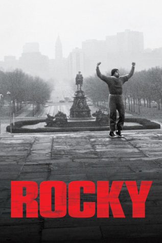 Summary: Rocky (Article 8)