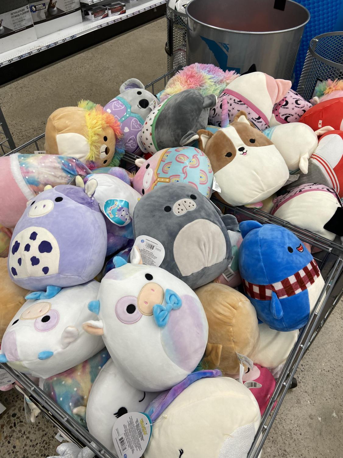 Different Squishmallow Prices at Local Stores – The Legend