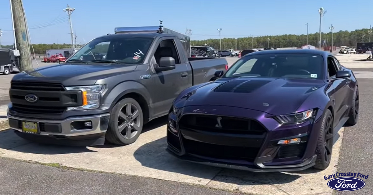 The+F150+5.0+V.S.+Mustang+5.0