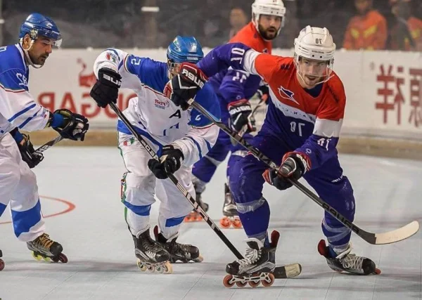 Should Local Schools Have Roller Hockey or Ice Hockey as a Sport?
