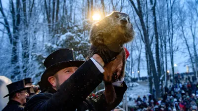 Groundhog Day!