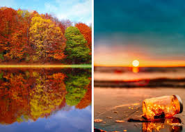 Fall Or Spring?