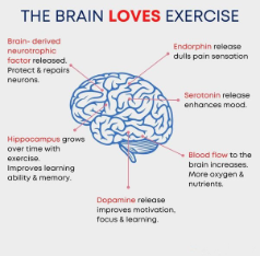 Exercise Saves!